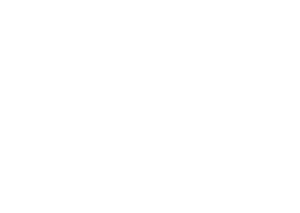 Ricky Martin Foundation